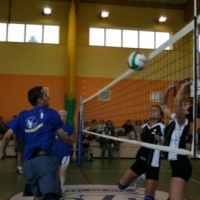 Zator Volley wygrywa ligę