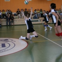 Zator Volley wygrywa ligę