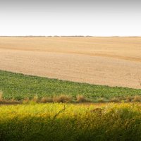 Puchar Polski i kolejna wygrana zatorzanek z UKS Sokół