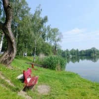 Zdjęcia z zawodów Dzień Dziecka