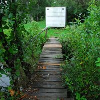 Gminne Zawody Wędkarskie Ochotniczych Straży Pożarnych