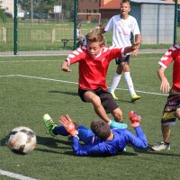 Piknik ze Szwajcarem