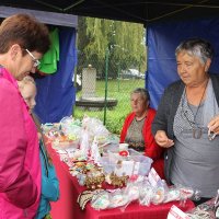 Piknik ze Szwajcarem