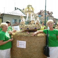 Plon zebrany podczas Święta Plonów