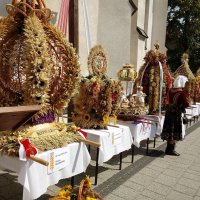 Plon zebrany podczas Święta Plonów