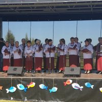 Żniwa Karpiowe 2019