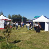 Żniwa Karpiowe 2019