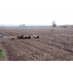 Otwory poszukiwawcze z utwor&oacute;w czwartorzędowych PS-3, PS-6